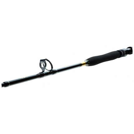 Daiwa Prut BG Big Game 1,68 m 20-30 lb