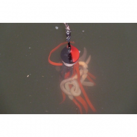 Uni Cat nástraha Clonk T-Sytem hmotnost 120g