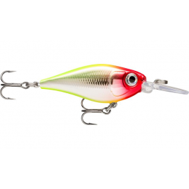 X-Light Shad 04