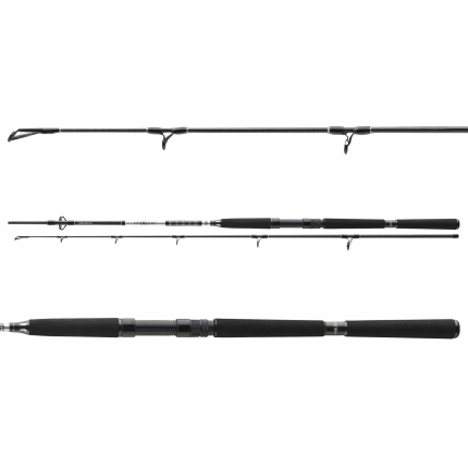 Daiwa Prut BG Boat 2,40 m 150-400 g 2 díl