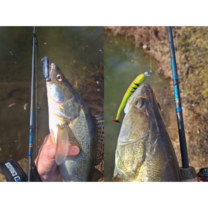 Delphin Prut Zandit 2,15 m 15 g 2 díl