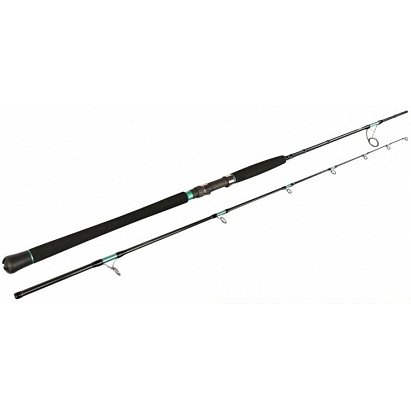 Sportex Prut Magnus Mastergrade Shore Jig & Cast RS-2 2,75 m 29-97 g 2 díl