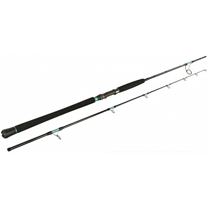 Sportex Prut Magnus Mastergrade Shore Jig & Cast RS-2 2,75 m 29-97 g 2 díl