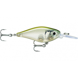 X-Light Shad 04