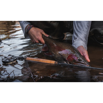 Cortland Muškařský Naviják Crown Disc Drag 3/5 Mid Arbor