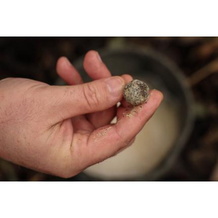 Nikl Boilie Economic Feed Rape Cloud 5kg