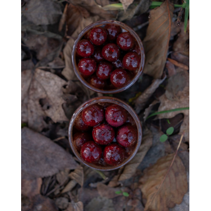 Nikl Boilies v dipu Gigantica 250g