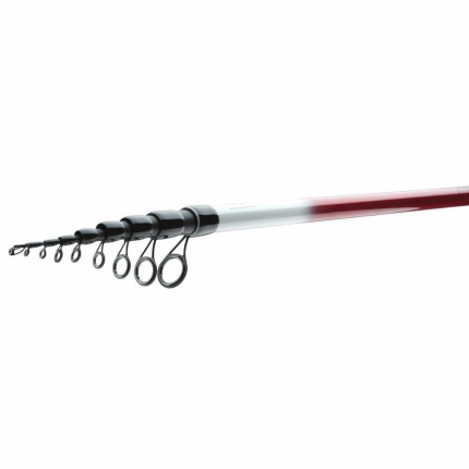 Daiwa Prut Ninja X Bolo 5 m 25 g