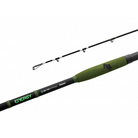 Delphin Prut Energy Catfish 3,1 m 250-500 g 2 díl