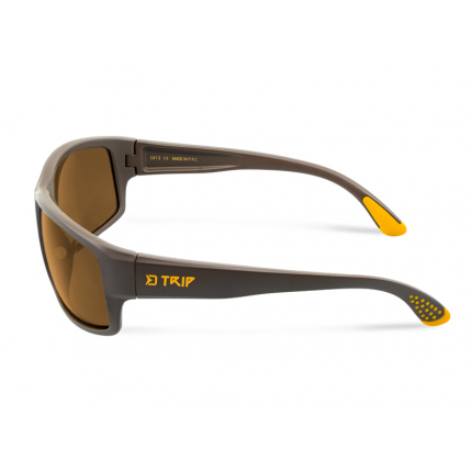 Delphin Polarizační Brýle SG Trip