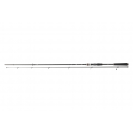 Daiwa Prut Exceler Spin 2,4 m 10-40 g 2 díl