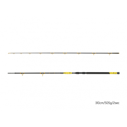 Delphin Prut Hazard BxG 3,1 m 505 g 2 díl