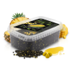 Delphin Pelety Reaxe Ready&Go Pellet Box + Booster a Nástrahy Kukuřice-Ananas 400 g