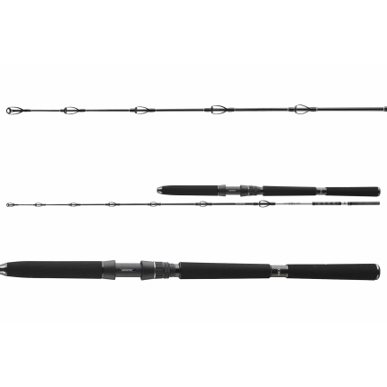 Daiwa Prut BG Deep Sea 2,20 m 30-40 lb 2 díl