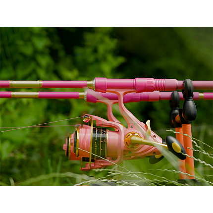Delphin Prut Queen Candy 3,6 m 3 lb
