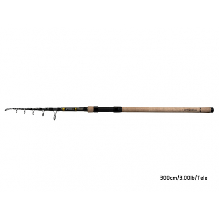 Delphin Prut Armada NX Travel Blackway Cork 3 m 3 lb