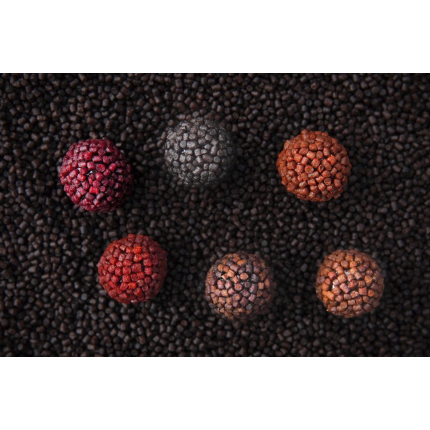 Chytil Boilies Pandemia 16mm