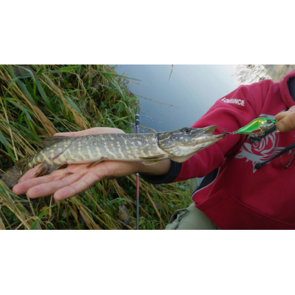 Salmo rybářské woblery SLIDER SD5F barva PA