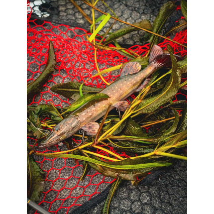 Fox Rage Gumová Nástraha Ultra Realistic Pike Replicant