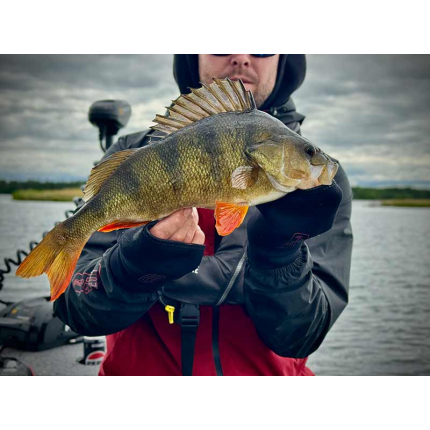 Fox Rage Rukavice Neoprene Mitts