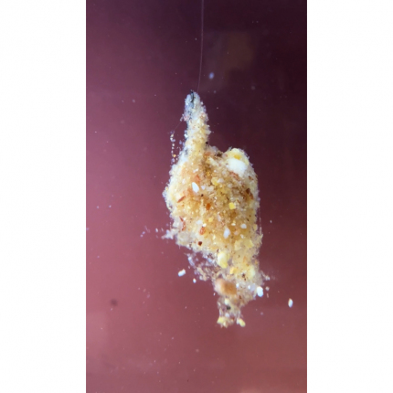 Šonův Sopel revoluční nástraha 85g vysoká dóza