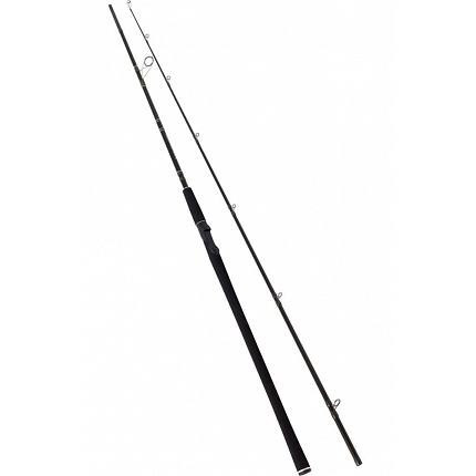 Westin Prut W2 Powercast XXH 2,48 m 40-130 g 2 díl