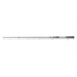 Daiwa Prut Exceler Spin 3 m 15-50 g 2-díl