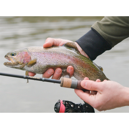 Delphin Prut Troutera HardLure 2,1 m 2-7 g 2 díl