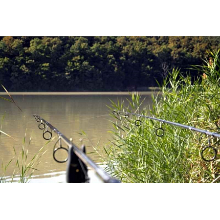 Sportex Prut Revolt Carp 3,65 m 3 lb 2 díl