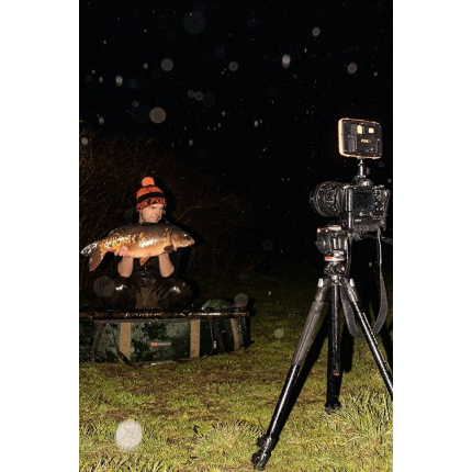 Fox Lampa Halo Photography Light