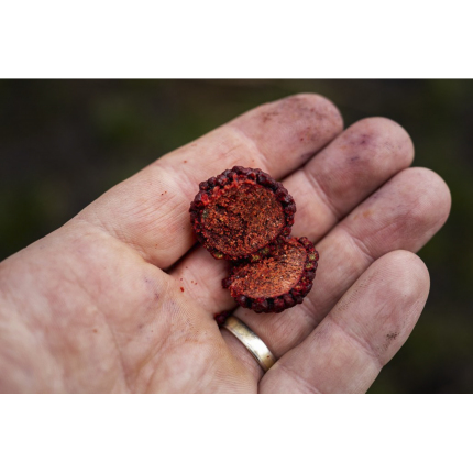 Chytil Boilies Pandemia 16mm