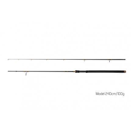 Delphin rybářský prut Murena 2,7m 100g