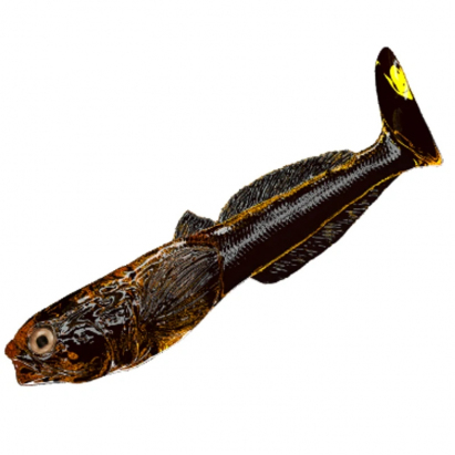 Qubi Lures gumová nástraha Głowacz Motor Oil 7cm 4ks Qubi Lures gumová nástraha Głowacz Motor Oil 7cm 4ks