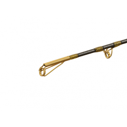 Delphin Prut Hazard BxG 2,55 m 505 g 2 díl