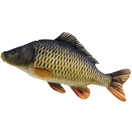 Gaby Polštář Kapr šupináč 64cm