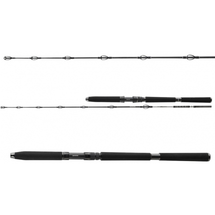 Daiwa Prut BG Popper 2,3 m 40-150 g 2 díl