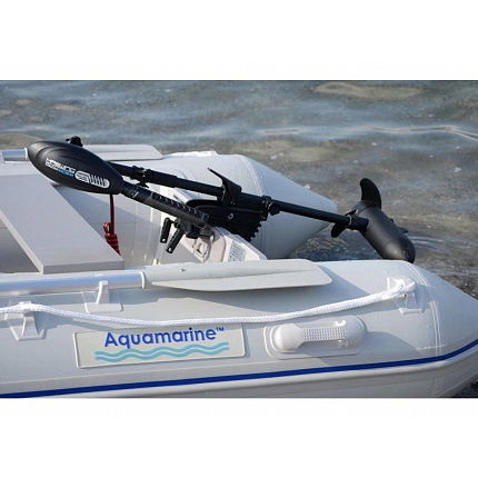 Haswing Elektro Motor Osapian 55 lb