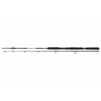 Daiwa Prut BG Boat 2,40 m 150-400 g 2 díl