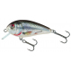 Salmo Wobler Butcher Floating 5cm 5g Holographic Real Dace