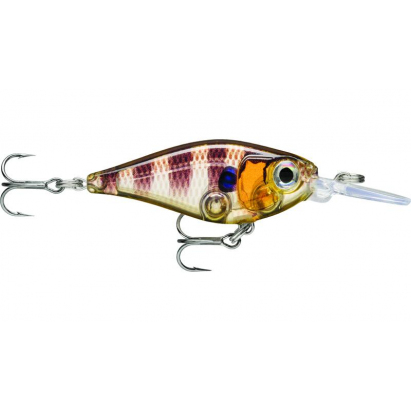 X-Light Shad 04